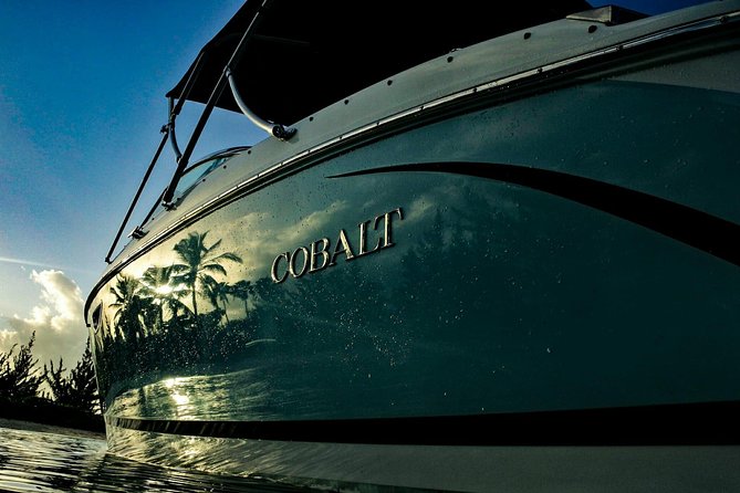 Private, luxury, custom charters to Stingray City, Snorkeling & More - Rum Point Reef and Beach Options: Snorkel Time or a Land Break