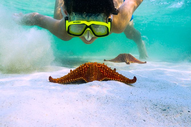 Private Stingray City and Snorkeling Half Day Charter for 6 Guest - Key highlights that matter in real life