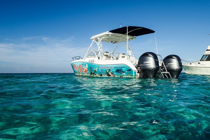 Private Stingray City and Snorkeling Half Day Charter for 6 Guest - Stingray City for feeding, holding, and that fun seven-year story