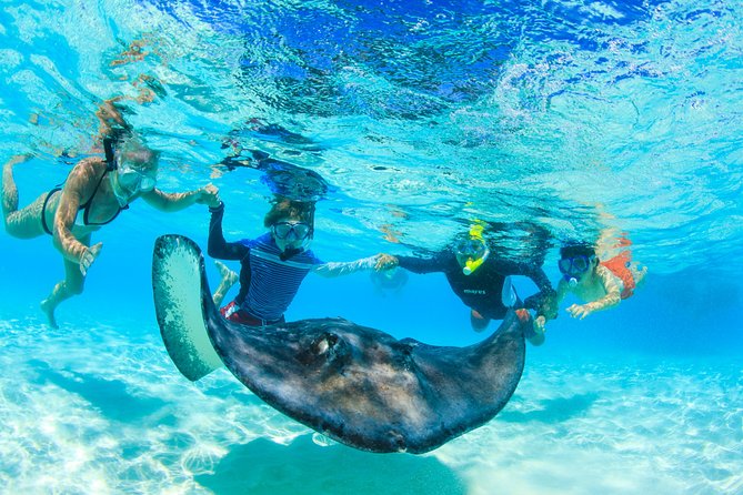 Private Stingray City and Snorkeling Half Day Charter for 6 Guest - How the timing works: Starfish Point, Stingray City, then boat time