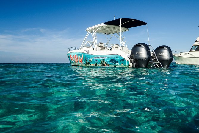 Private Stingray City Snorkeling and BioBay Charter for 10 Guests - The sunset supper break: planning food so you stay happy at night
