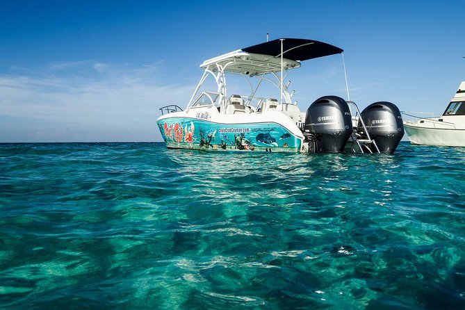 Private Stingray City Snorkeling and BioBay Charter for 6 Guests - The Crazy Crab boat time that connects everything