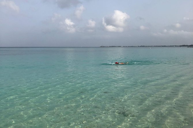 Private Swim Lesson or Triathlon Training on Seven Mile Beach! - Who should book this swim lesson on Seven Mile Beach