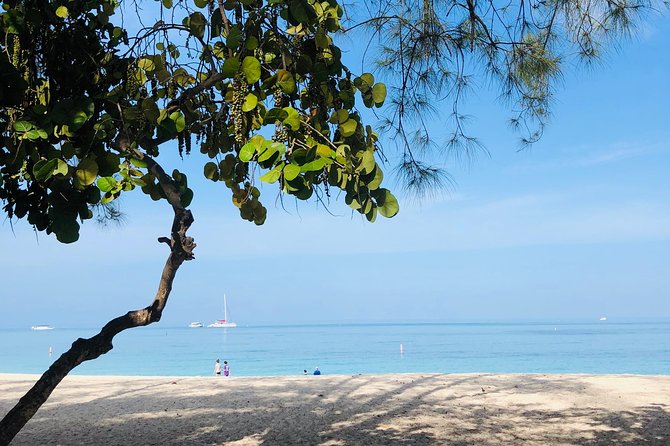 Private Swim Lesson or Triathlon Training on Seven Mile Beach! - What to do before you go for the best results
