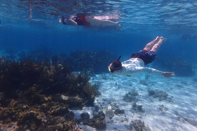 Private Tour to Stingray City & Snorkeling at Coral Gardens - Why a private Stingray City boat changes everything