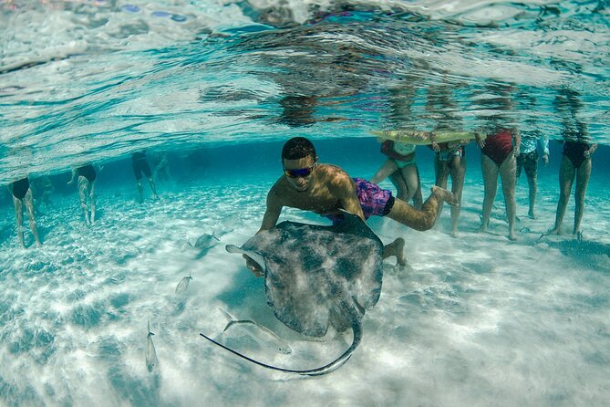 Private Yacht 48 ft Sting Ray City, Snorkel & Starfish Beach - Snorkeling the 8-10 Foot Coral Spot and Finding Moray Eels