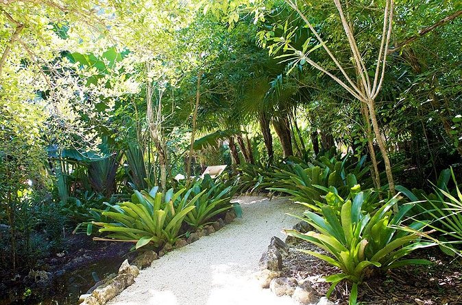 Queen Elizabeth II Botanic Park and Pedro St James Castle Tour in Grand Cayman - Should you book this Queen Elizabeth II Botanic Park and Pedro St. James tour?