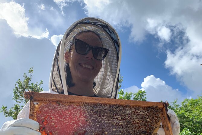 Reagan’s Honey Beekeeping Adventure - Key highlights to notice before you go