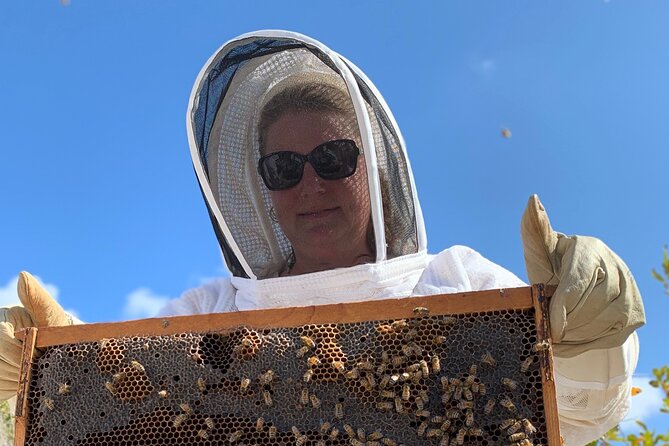 Reagan’s Honey Beekeeping Adventure - Inside the active beehive: queen spotting and baby bees