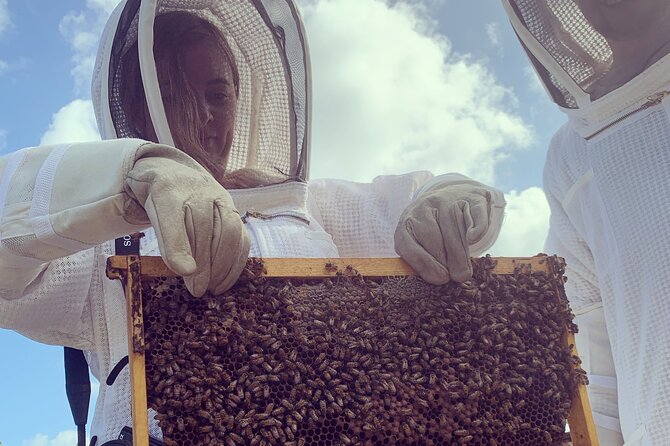 Reagan’s Honey Beekeeping Adventure - Honey harvesting to take-home jar: what you get after the hive check