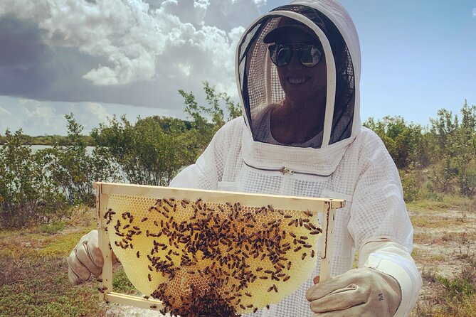 Reagan’s Honey Beekeeping Adventure - Price and logistics: does $66.67 make sense here?