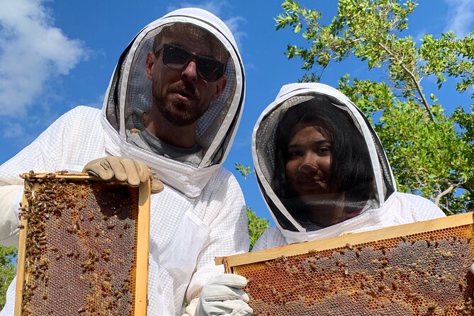Reagan’s Honey Beekeeping Adventure - Weather rules and the rare last-minute scramble