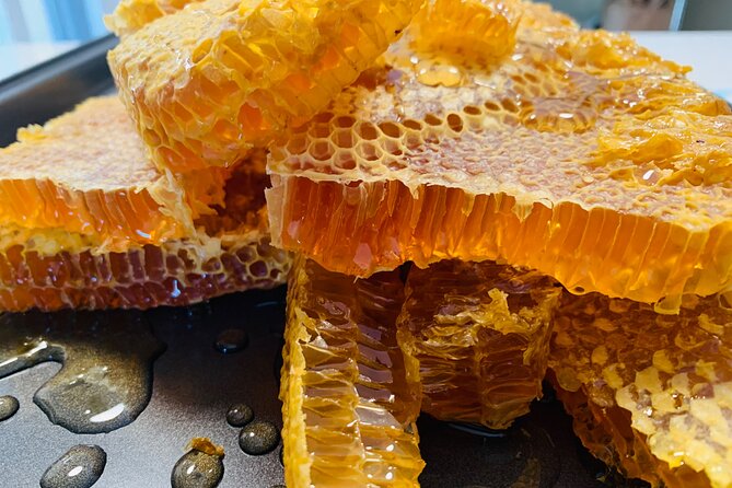 Reagan’s Honey Beekeeping Adventure - Getting to Chime Street and suiting up like a pro