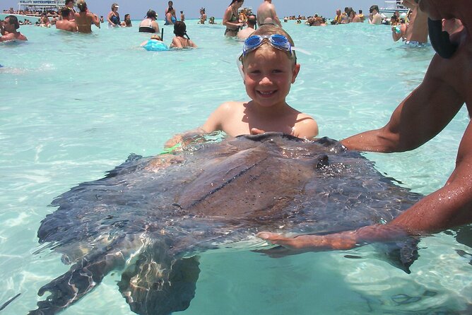 Small Group 7 Mile Beach Stingray City and Coral Gardens Tour - The price question: is $59.50 actually a good deal?