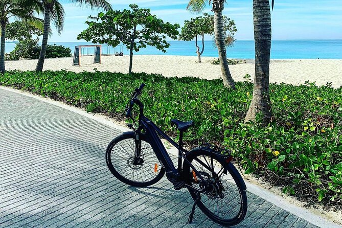 Small Group E-Bike Grand Cayman Ecological Half-Day Tour - West Bay Dock, Heritage Kitchen, and the WWII USS Kittiwake support vessel site