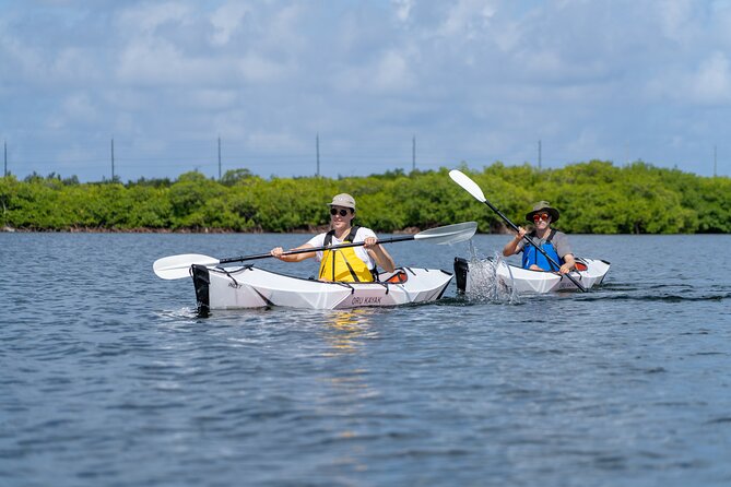 Small Group Glass Bottom Kayak Adventure- Cayman Islands - Key Points Before You Go