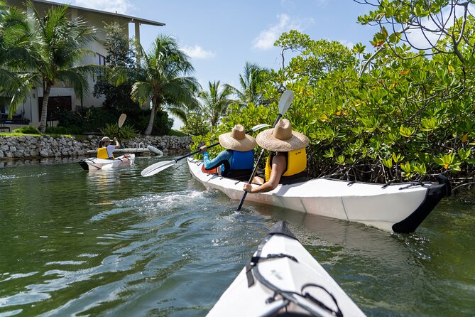 Small Group Glass Bottom Kayak Adventure- Cayman Islands - Meeting at Anchors Store, Then Launch at the Yacht Club