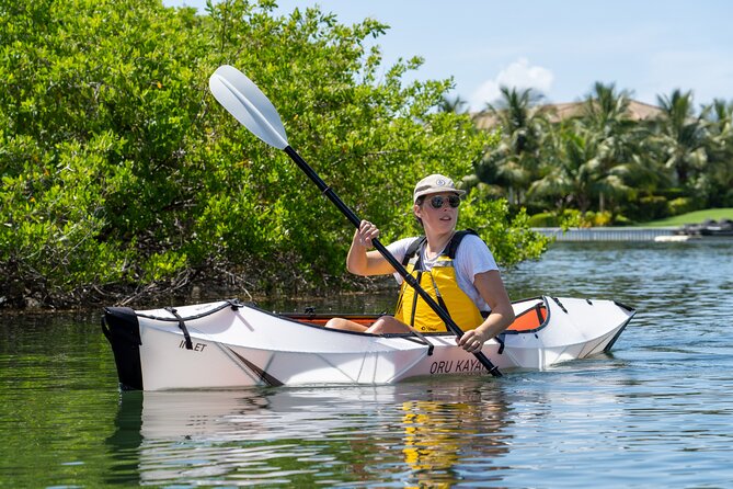 Small Group Glass Bottom Kayak Adventure- Cayman Islands - The 2-Hour Route: Briefing, Paddle, and Return