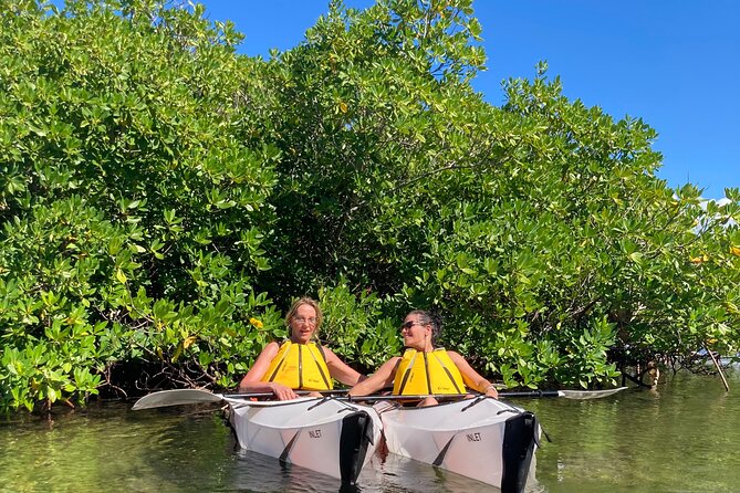 Small Group Glass Bottom Kayak Adventure- Cayman Islands - What You Learn in the Red Mangrove Forest