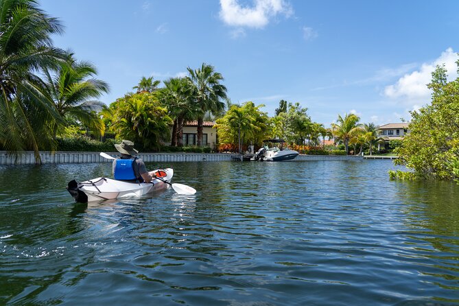 Small Group Glass Bottom Kayak Adventure- Cayman Islands - Seeing Sea Lettuce, Orchids, and the Ocean Bed Through Glass