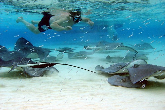 Starfish Point, Stingray City & Coral Garden (3-STOP Adventure) - How This 3-Stop Adventure Packs More Cayman Into One Day