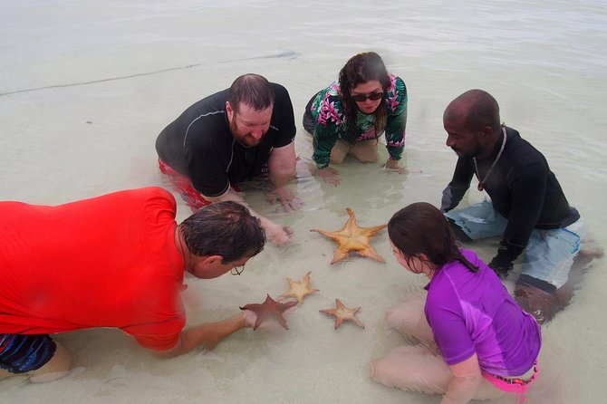 Starfish Point, Stingray City & Coral Garden (3-STOP Adventure) - Stop 3: Coral Gardens Snorkeling for Reef Time, Fish, and the Big “Wow” Moment (About 30 Minutes)