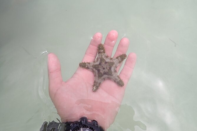 Starfish Point, Stingray City & Coral Garden (3-STOP Adventure) - The Kind of Crew You Want On a Marine Tour