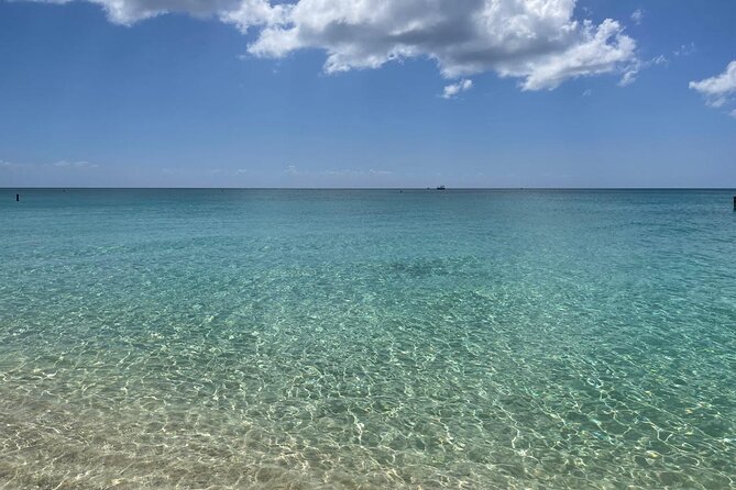 Stingray City and Seven Mile Beach Adventure Tour - Getting to the Royal Watler terminal and through the day