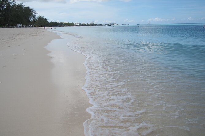 Stingray City and Seven Mile Beach Adventure Tour - Who this tour suits best on Grand Cayman