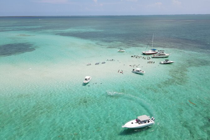 Stingray City and Seven Mile Beach Adventure Tour - Should you book Stingray City and Seven Mile Beach with Aquarius Sea Tours?