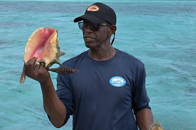 Stingray City and Snorkel Tour With Lunch - Price and Value: What $135 Really Buys on Grand Cayman