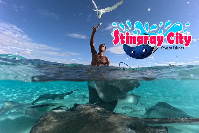 Stingray City and Starfish Experience with Coral Reef Snorkeling - Stingray City shallow sandbars, southern stingrays, and in-water coaching