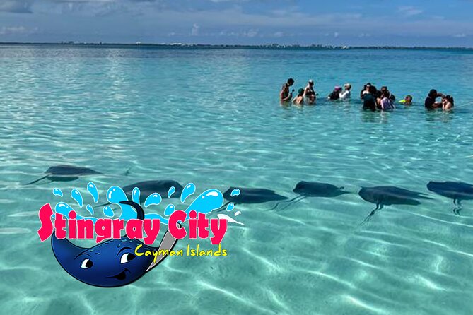 Stingray City and Starfish Experience with Coral Reef Snorkeling - Included gear, life vests, and what to bring for the best experience
