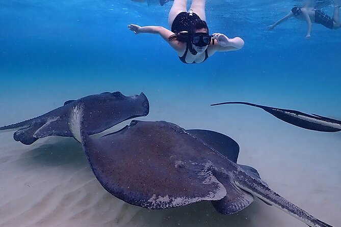 Stingray City and Starfish Experience with Coral Reef Snorkeling - Price and value: is $65 per person a good deal?