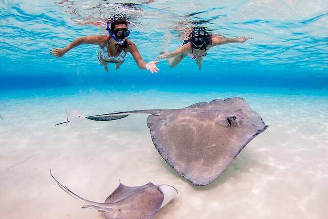 Stingray City and Starfish Experience with Coral Reef Snorkeling - Should you book Stingray City and Starfish snorkeling on Grand Cayman?