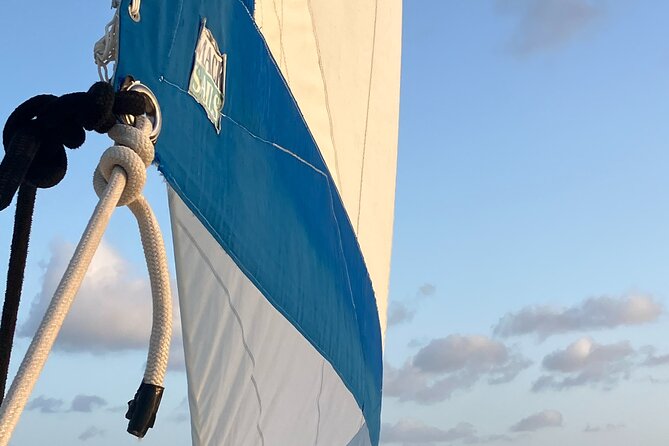 Stingray City Catamaran Sunset Tour - Price and Value: Is $59 Worth It for a Stingray Sunset Tour?