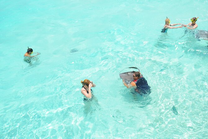 Stingray City, Coral Gardens & Frankie's Local Lunch & Juice - Price and value: what $78 buys on Grand Cayman