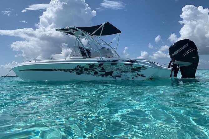 Stingray City Experience Plus Two Snorkeling spots Private Boat - Private boat vibes: why the smaller size changes everything