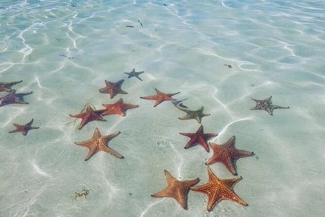 Stingray City Experience Plus Two Snorkeling spots Private Boat - Weather and sea conditions: why your captain’s decisions matter