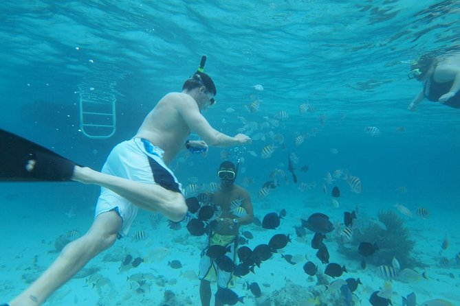 Stingray City Experience Plus Two Snorkeling Stops on Grand Cayman - Stingray City plus two snorkeling stops: what your $80 really covers