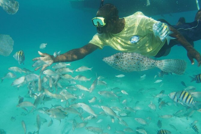 Stingray City Experience Plus Two Snorkeling Stops on Grand Cayman - The on-board photo team: when it is worth paying