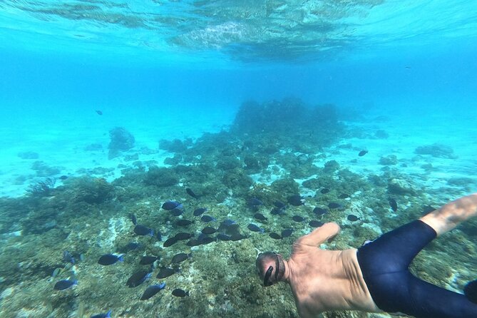 Stingray City, Star fish Point and Snorkeling Private Boat Tour - Getting to the boat: West Bay timing and the Yacht Club starting point