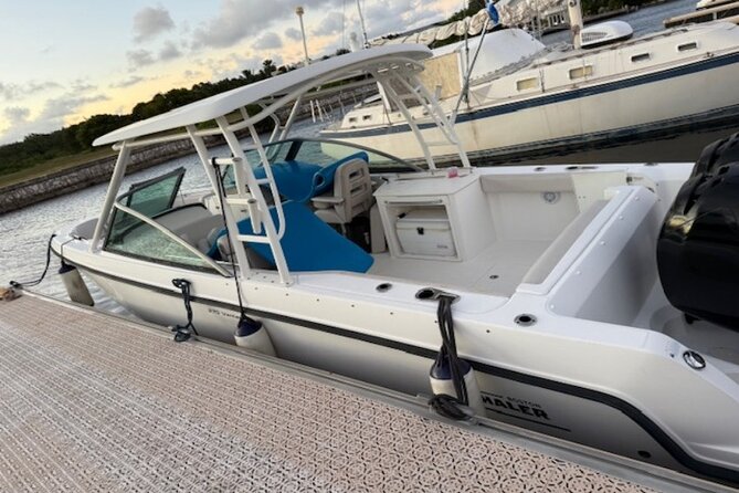 Stingray City, Star fish Point and Snorkeling Private Boat Tour - Comfort, safety, and the “you will get wet” reality