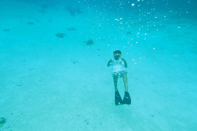 StingrayCity ,Coral Garden & Starfish Tour. - Safety and Service: Life Jackets, Calm Captains, and Crew Attention