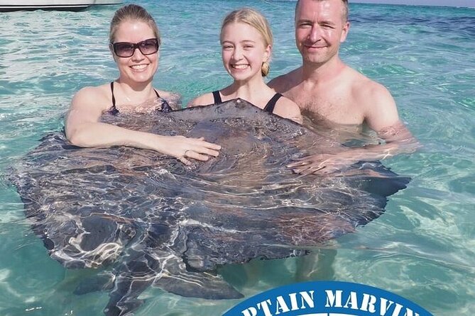 Stingrays, Starfish and Snorkeling Tour - Stingray City Sandbar, The Hands-On Highlight