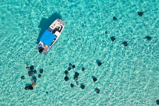 Sunrise at Stingray City, Private Tour - Key things that make this sunrise charter worth it