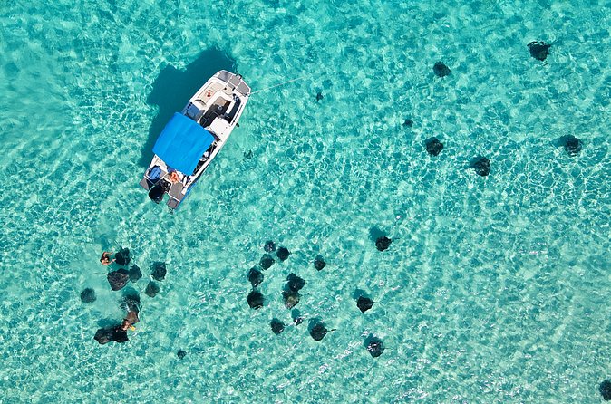 Sunrise at Stingray City, Private Tour - Timing and logistics that can affect your day